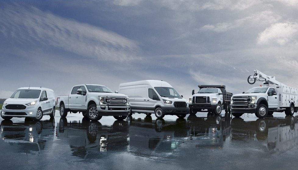 TrueDNA - Commercial Fleet